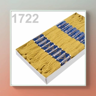 Vyšívací příze MOULINE 1722
