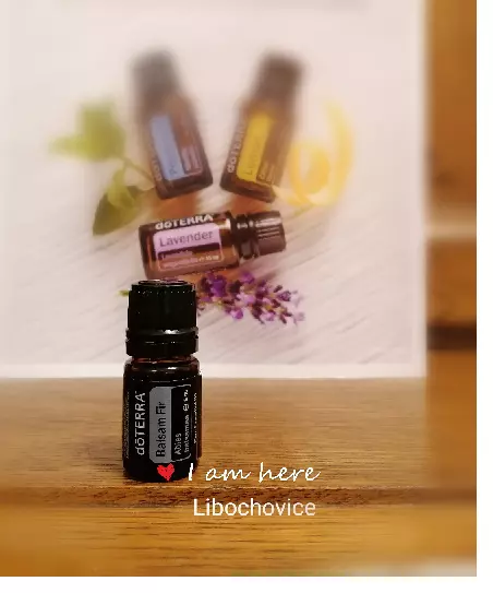 Esenciální olej Doterra Balsam Fir (balzámová jedle)