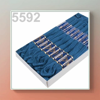 Vyšívací příze MOULINE - 5592