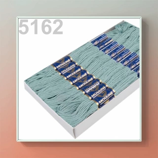 Vyšívací příze MOULINE 5162