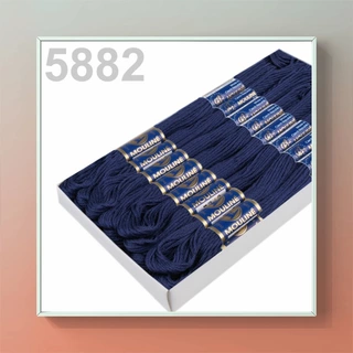Vyšívací příze MOULINE 5882