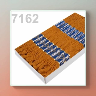 Vyšívací příze MOULINE - 7162