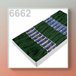 Vyšívací příze MOULINE 6662