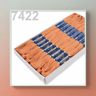 Vyšívací příze MOULINE 7422