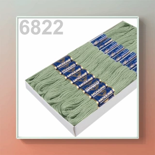 Vyšívací příze MOULINE 6822
