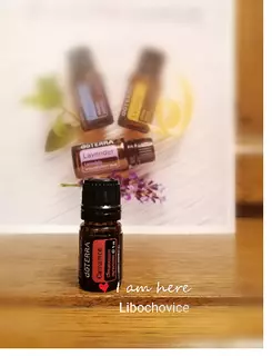 Esenciální olej Doterra Cinnamon (skořice)