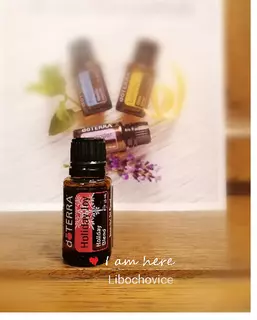 Esenciální olej Doterra Holiday Joy (vánoční směs)