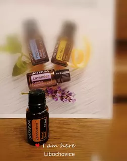 Esenciální olej Doterra Zendocrine