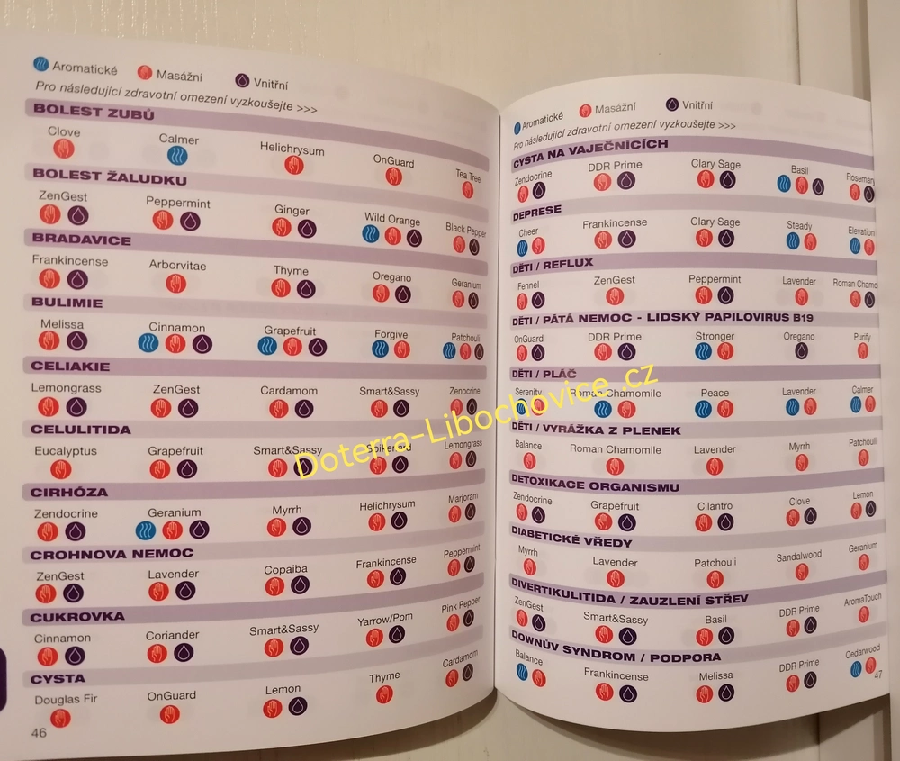 2.Katalog ,,Voňavý pomocník" - brožura k esenciálním olejům Doterra (česky)